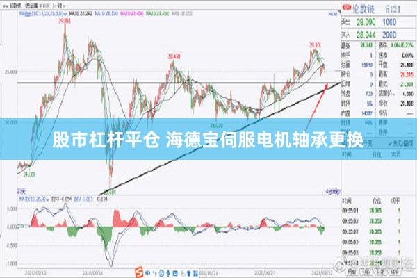 股市杠杆平仓 海德宝伺服电机轴承更换