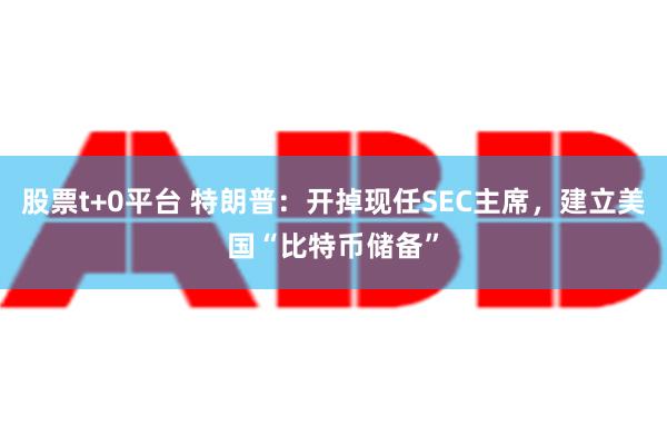 股票t+0平台 特朗普：开掉现任SEC主席，建立美国“比特币储备”