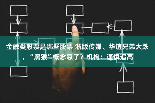 金融类股票是哪些股票 浙版传媒、华谊兄弟大跌，“黑猴”概念凉了？机构：谨慎追高