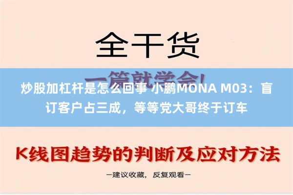 炒股加杠杆是怎么回事 小鹏MONA M03：盲订客户占三成，等等党大哥终于订车