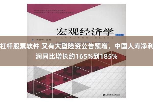 杠杆股票软件 又有大型险资公告预增，中国人寿净利润同比增长约165%到185%