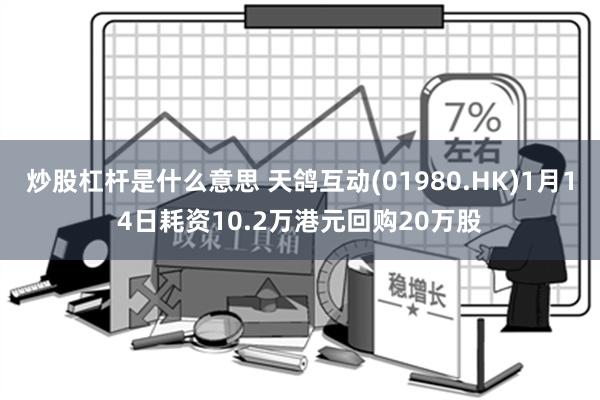 炒股杠杆是什么意思 天鸽互动(01980.HK)1月14日耗资10.2万港元回购20万股