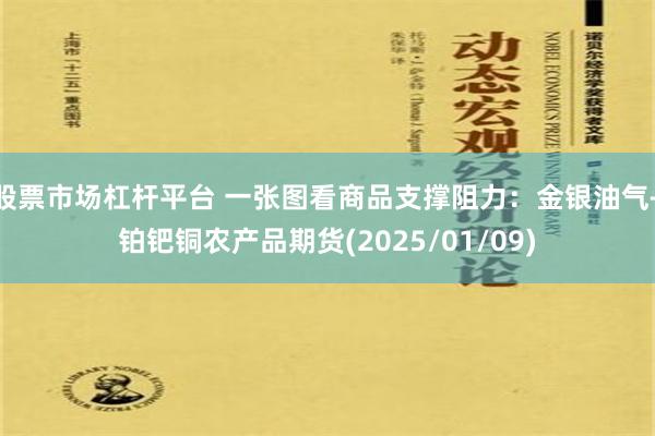 股票市场杠杆平台 一张图看商品支撑阻力：金银油气+铂钯铜农产品期货(2025/01/09)