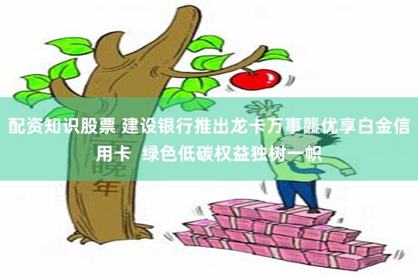 配资知识股票 建设银行推出龙卡万事龘优享白金信用卡  绿色低碳权益独树一帜